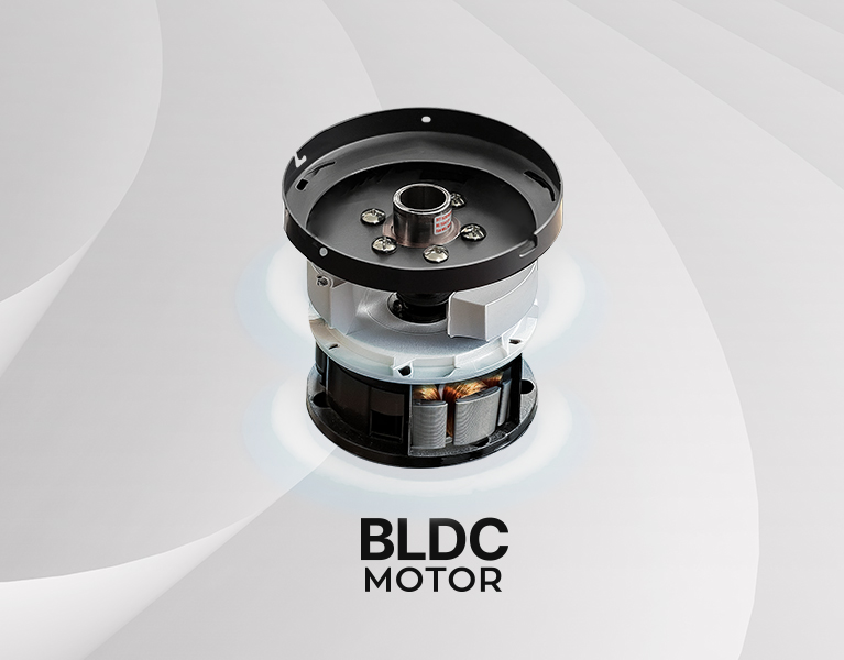 ̾  BLDC 